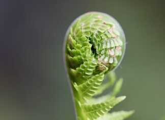 Nad czym Pracowałeś aby się rozwijać?