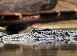 Jak jest najważniejsza zasada w reklamie internetowej? Jak jest najważniejsza zasada w reklamie internetowej?