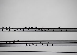 Jak napisać podsumowanie zawodowe — przykłady? Jak napisać podsumowanie zawodowe -- przykłady?