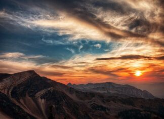 Na czym polega złotą karta?