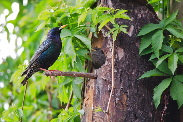 W jakim wieku człowiek jest najsilniejszy? W jakim wieku człowiek jest najsilniejszy?