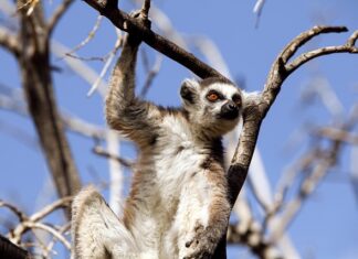 Co to są zachowania agresywne? Co to są zachowania agresywne?
