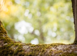 Co zwiększa zdolność kredytową? Co zwiększa zdolność kredytową?