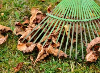 Czy PKO S.a pobiera prowizję? Czy PKO S.a pobiera prowizję?