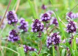 Jak dostać 100 zł za darmo? Jak dostać 100 zł za darmo?