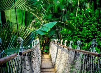 Czy opłaca się robić kursy Google? Czy opłaca się robić kursy Google?