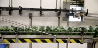 Wpływ transporterów taśmowych na procesy logistyczne