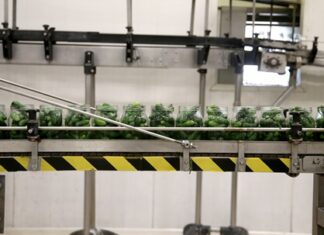 Wpływ transporterów taśmowych na procesy logistyczne Wpływ transporterów taśmowych na procesy logistyczne